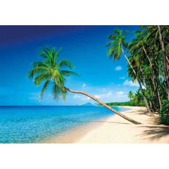 Puzzle Clementoni Isla Martinica de 1500 Piezas