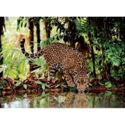 Puzzle Clementoni Leopardo de 2000 Piezas