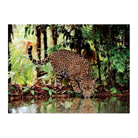 Puzzle Clementoni Leopardo de 2000 Piezas