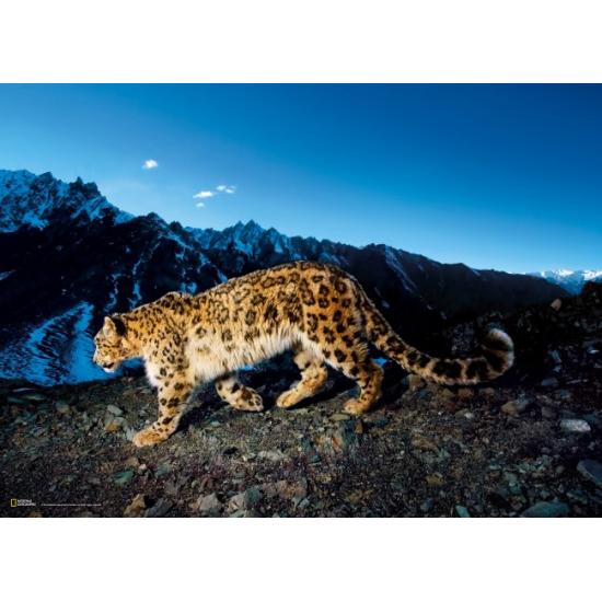 Puzzle Clementoni Leopardo en la Nieve de 1000 Piezas