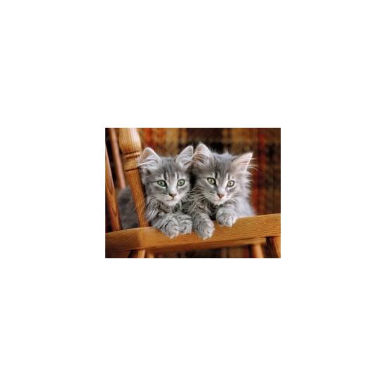 Puzzle Clementoni Los Gatitos de 500 Piezas