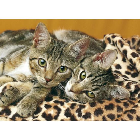 Puzzle Clementoni Los Ojos del Gato de 1000 Piezas