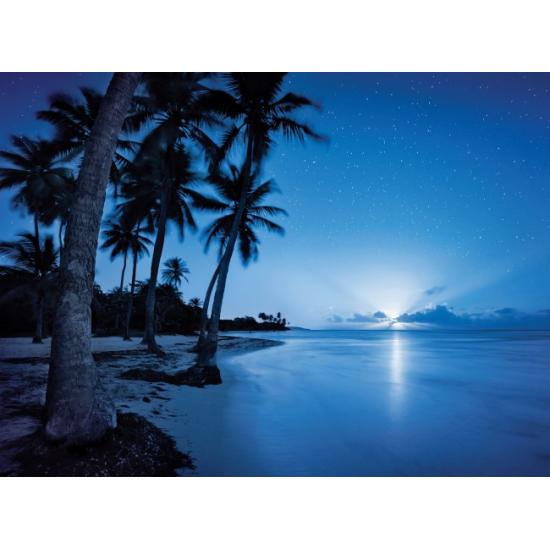 Puzzle Clementoni Luna Creciente de 500 Piezas