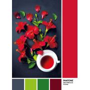 Puzzle Clementoni PANTONE 186, Aroma de Flor de Hibisco de 1000