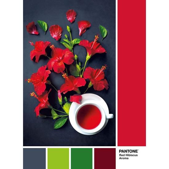 Puzzle Clementoni PANTONE 186, Aroma de Flor de Hibisco de 1000 Puzzle Clementoni PANTONE 186, Aroma de Flor de Hibisco de 1000