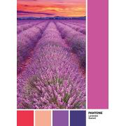 Puzzle Clementoni PANTONE 674, Campo de Lavandas de 1000 Piezas