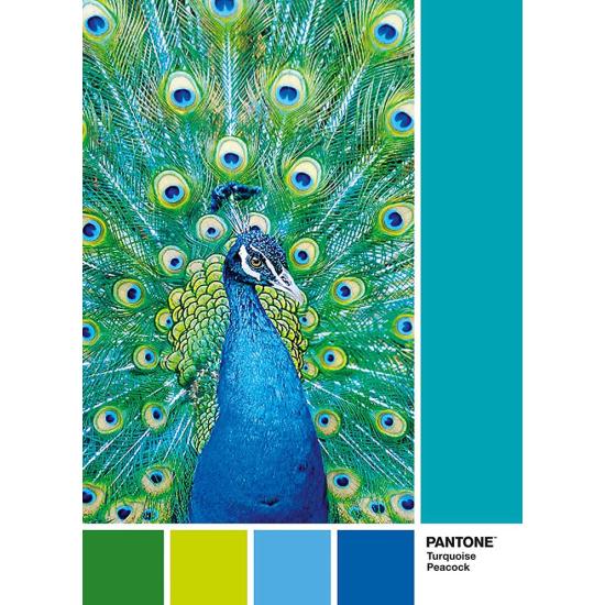 Puzzle Clementoni PANTONE 7466, Pavo Real de 1000