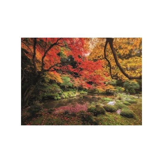 Puzzle Clementoni Parque en Otoño de 1500 Piezas