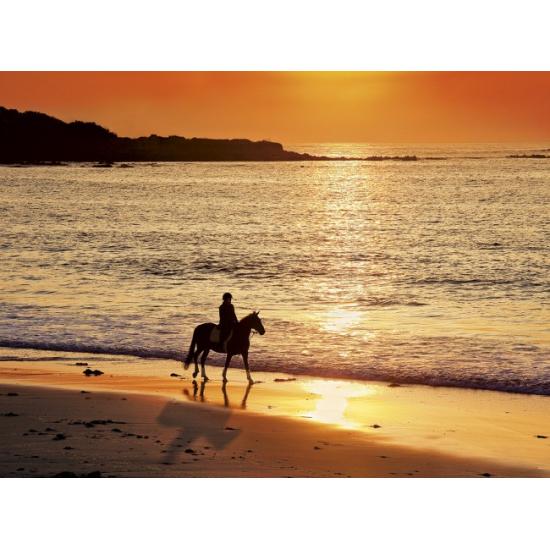 Puzzle Clementoni Paseo a Caballo de 500 Piezas