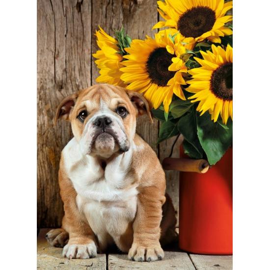 Puzzle Clementoni Perro Bulldog de 1000 Piezas