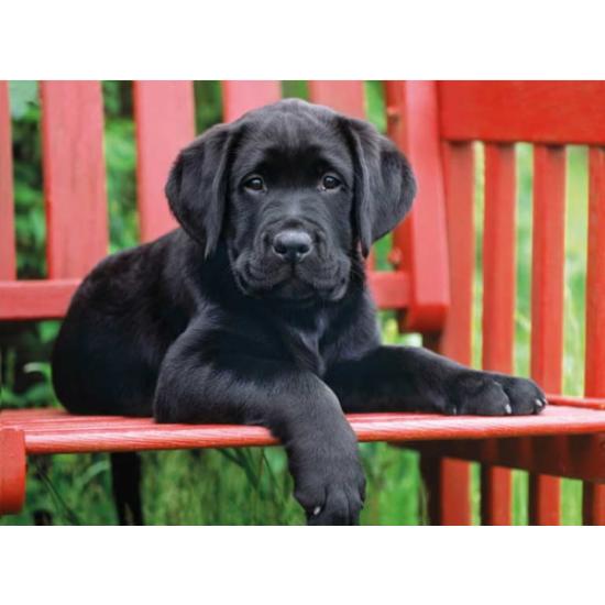 Puzzle Clementoni Perro Negro de 500 Piezas