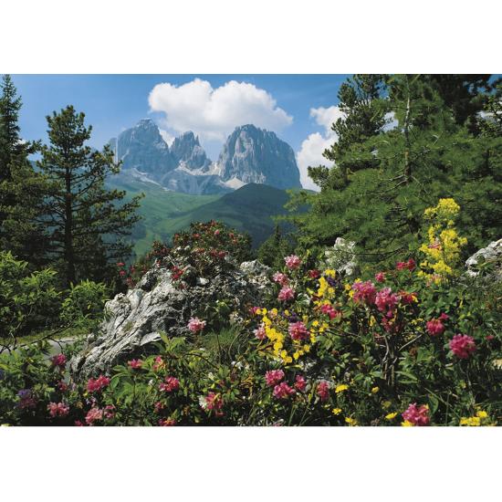 Puzzle Clementoni Valle Gardena de 4000 Piezas
