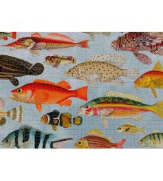 Puzzle Cloudberries Aquatic de 1000 Piezas