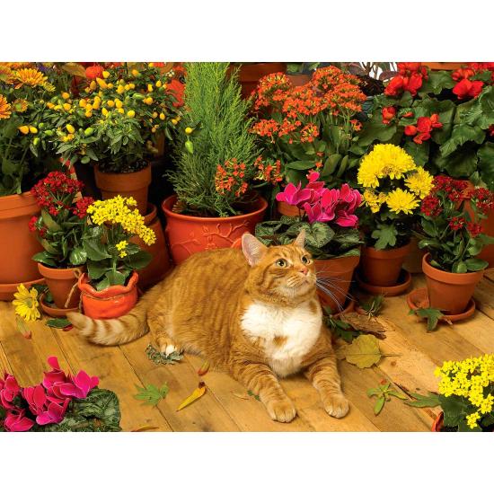 Puzzle Cobble Hill Brisa de Otoño 500 Piezas Puzzle Cobble Hill Brisa de Otoño 500 Piezas