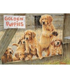 Puzzle Cobble Hill Cachorros de Golden de 500 Piezas XXL
