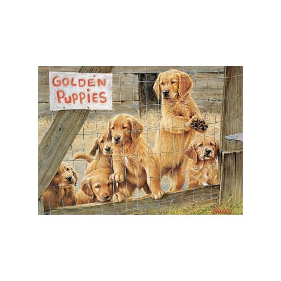 Puzzle Cobble Hill Cachorros de Golden de 500 Piezas XXL