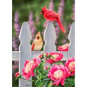 Puzzle Cobble Hill Cardenales y Peonias de 1000 Piezas