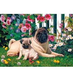 Puzzle Cobble Hill Familia de Pugs de 1000 Piezas
