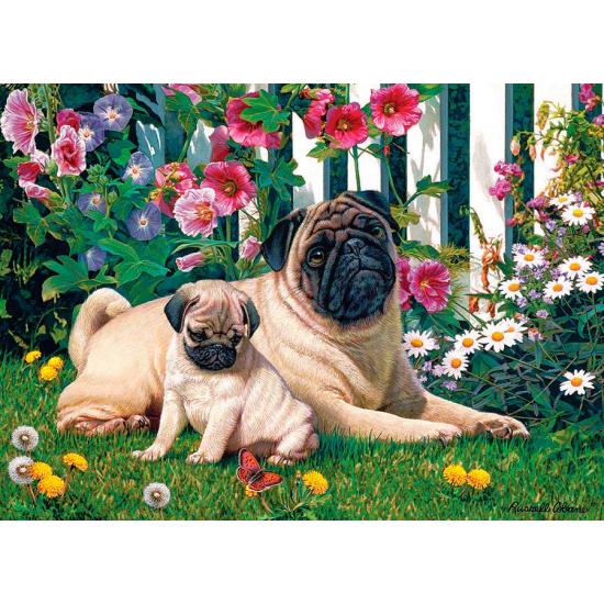 Puzzle Cobble Hill Familia de Pugs de 1000 Piezas Puzzle Cobble Hill Familia de Pugs de 1000 Piezas