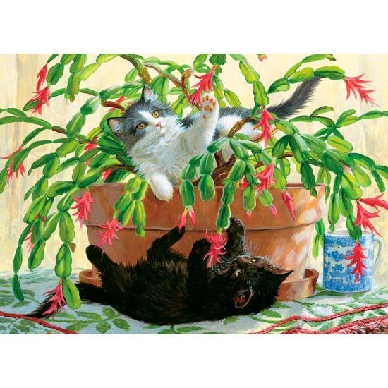 Puzzle Cobble Hill Gatitos y Cactus de 1000 Piezas Puzzle Cobble Hill Gatitos y Cactus de 1000 Piezas