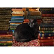 Puzzle Cobble Hill Gato de Biblioteca de 1000 Piezas