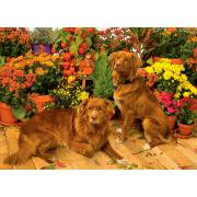 Puzzle Cobble Hill Guardianes de las Flores 1000 Piezas