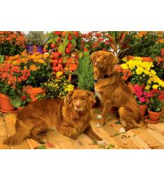 Puzzle Cobble Hill Guardianes de las Flores 1000 Piezas