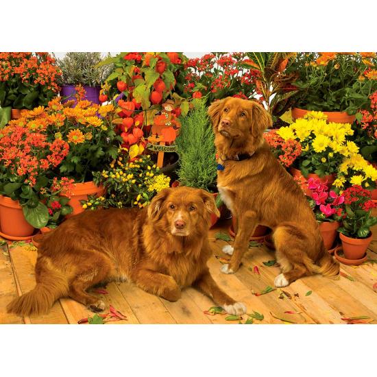 Puzzle Cobble Hill Guardianes de las Flores 1000 Piezas