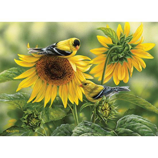 Puzzle Cobble Hill Jilgueros en los Girasoles de 1000 Piezas Puzzle Cobble Hill Jilgueros en los Girasoles de 1000 Piezas