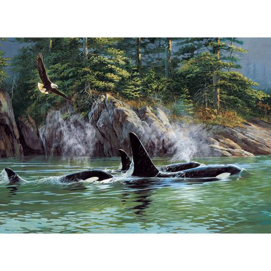 Puzzle Cobble Hill Orcas de 1000 Piezas Puzzle Cobble Hill Orcas de 1000 Piezas