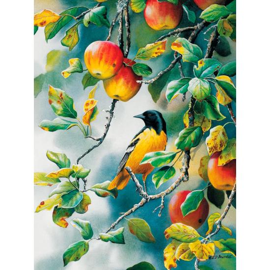 Puzzle Cobble Hill Oriole del Norte de 500 Piezas