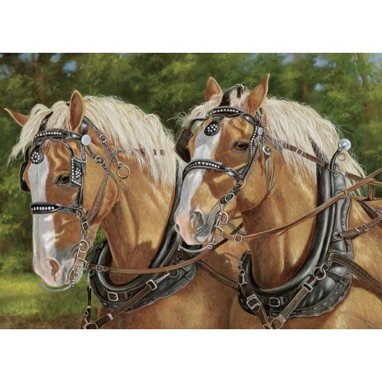 Puzzle Cobble Hill Pareja de Caballos de 1000 Piezas Puzzle Cobble Hill Pareja de Caballos de 1000 Piezas