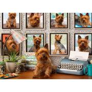 Puzzle Cobble Hill Perritos Yorkies de 1000 Piezas