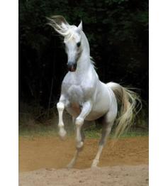 Puzzle D-Toys Caballo Blanco de 1000 Piezas