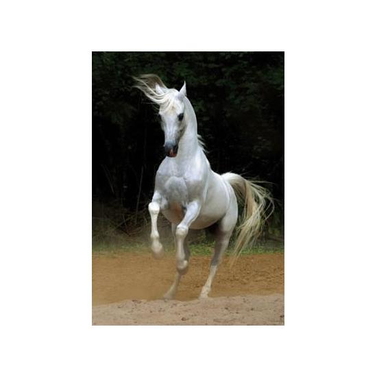 Puzzle D-Toys Caballo Blanco de 1000 Piezas