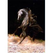 Puzzle D-Toys Caballo Gris de 1000 Piezas