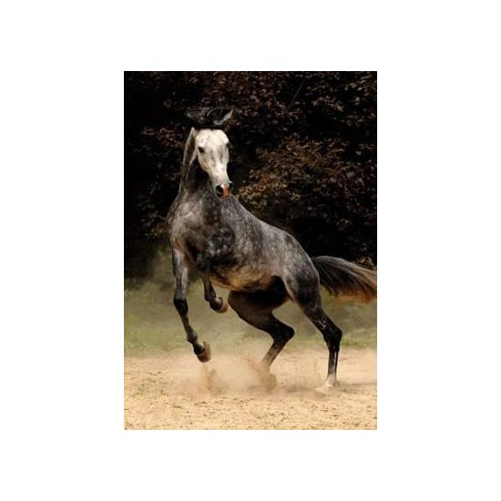 Puzzle D-Toys Caballo Manchado de 1000 Piezas