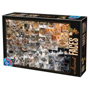 Puzzle D-Toys Caras de Animales, Gatos de 1000 Piezas