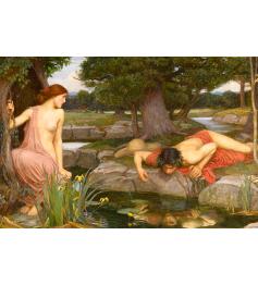 Puzzle D-Toys Eco y Narciso de 1000 Piezas