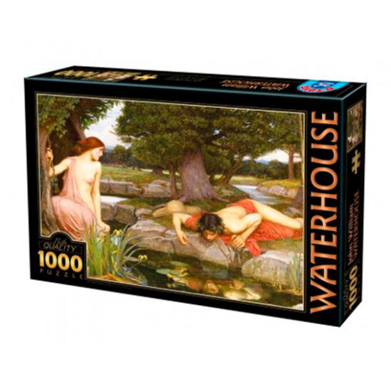 Puzzle D-Toys Eco y Narciso de 1000 Piezas