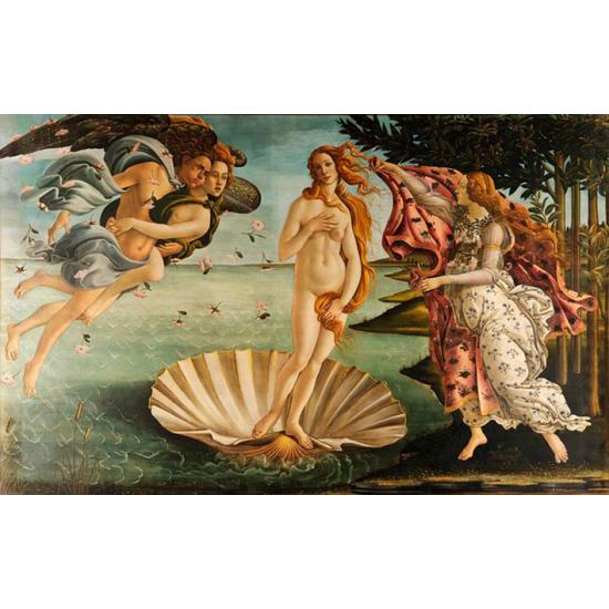 Puzzle D-Toys El Nacimiento de Venus de 1000 Piezas