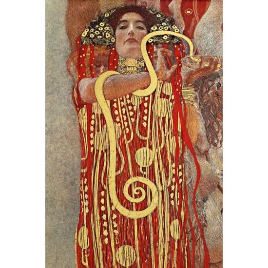 Puzzle D-Toys Hygeia 1000 Piezas