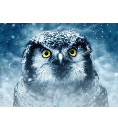 Puzzle Deico Mirada Fija de 1000 Piezas