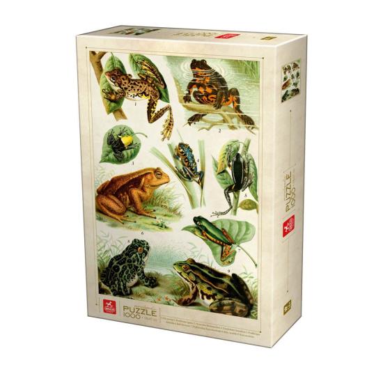 Puzzle Deico Enciclopedia de Ranas de 1000 Piezas Puzzle Deico Enciclopedia de Ranas de 1000 Piezas