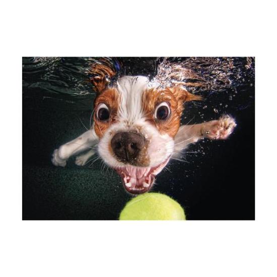 Puzzle Dino Cachorro Bajo el Agua de 500 Piezas Puzzle Dino Cachorro Bajo el Agua de 500 Piezas