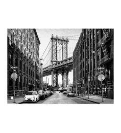 Puzzle Dino Calles de Manhattan de 1000 Piezas
