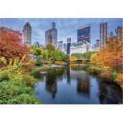 Puzzle Dino Central Park de 500 Piezas