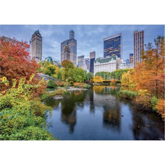 Puzzle Dino Central Park de 500 Piezas