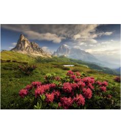 Puzzle Dino Dolomitas Italianos de 2000 Piezas