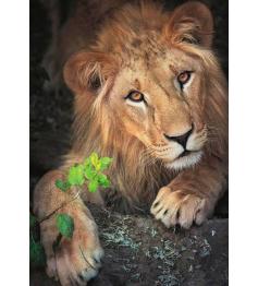 Puzzle Dino El Rey de los Animales de 500 Piezas